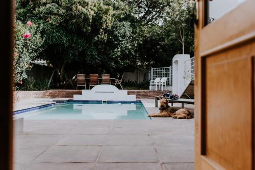 Foto - The Victorian Goose