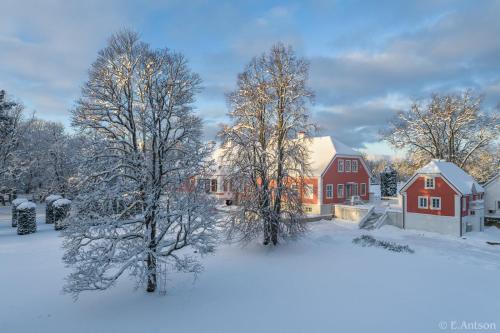 Sagadi Manor Hotel - image 12