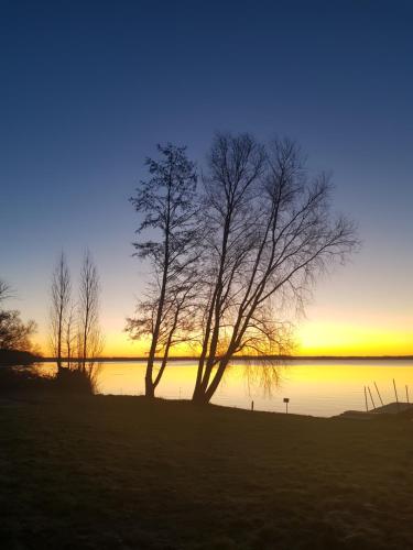 FeWo am Plöner See - image 7