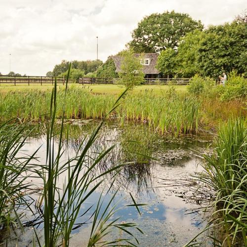  Landrop Bed & Breakfast, Unterkunft in Hoogeloon
