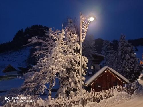 Luxury Chalet Orchidea -SPA Privata - Apartment - Canazei di Fassa