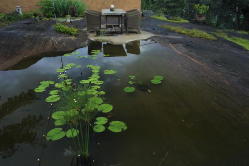 Stone Cottage, Kandy (fotografie 6)