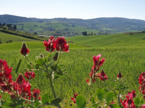 Il Giogo Agriturismo