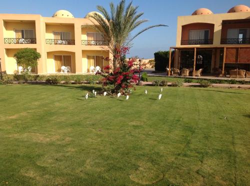 Wadi Lahmy Azur Resort The 3-star Wadi Lahmy Azur Resort offers comfort and convenience whether youre on business or holiday in Marsa Alam. The hotel offers a wide range of amenities and perks to ensure you have a great ti