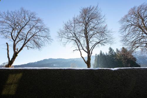 Apartment with Mountain View image 5
