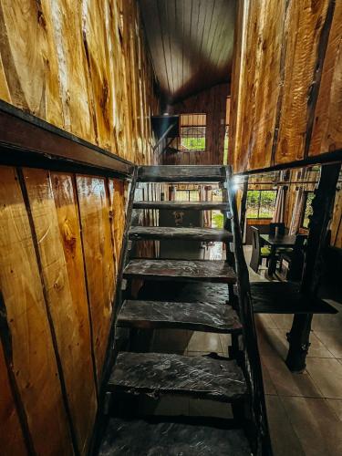 Cabaña Piqueza! (Cabana Piqueza!) in 普阿西多