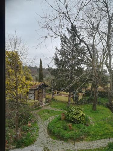 Le Mimose B&B - image 4