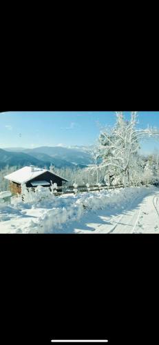 Behagliches Cottage mit Kamin mitten im Wald