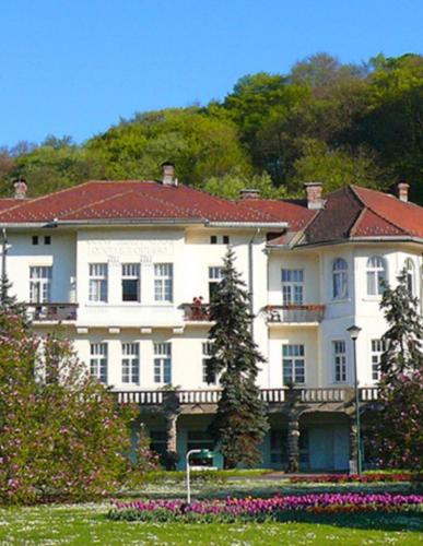 Apartman Obadovic in Баня Ковиляча