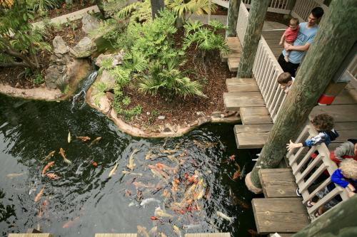 D8 - Dolphin View Cottage