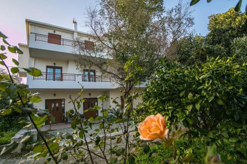 Ariadni's Maisonette in Iraklio