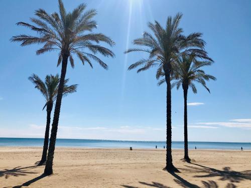  Loft San Antonio in 46400 Cullera