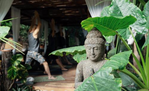 ONE Santuario Hotel y Reserva Natural