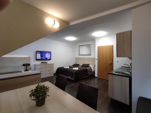 Horský Apartmán 303 v Anenském údolí s neomezeným saunovým wellness a snídaní v ceně pobytu, O2 TV a stabilní rychlou WIFI Harrachov