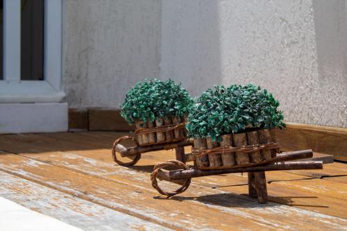 Casa Atlântico na Praia de Pirangi por Carpediem