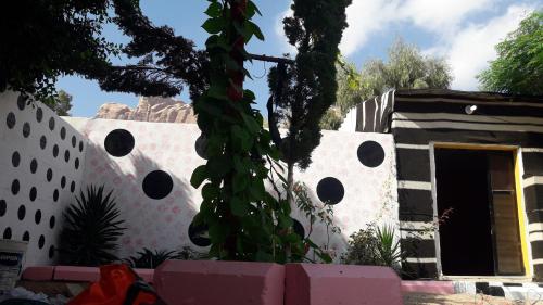 A szálláshely kívülről, Wadi Rum Village Lodge in Wadi Rum