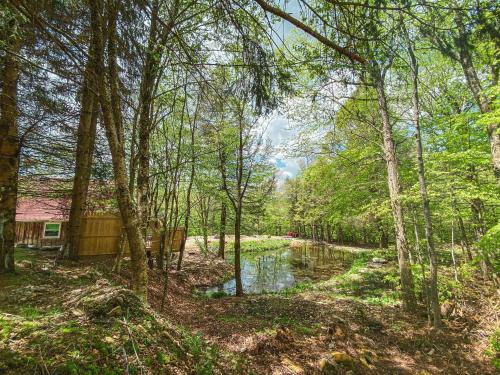 Rv adventure Roscoe Pet friendly in Rosko (NY)