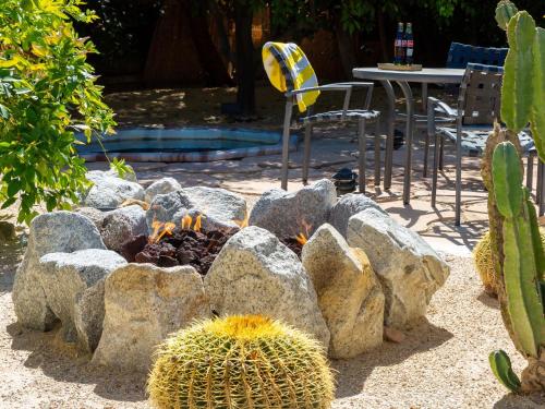 Alexander in the Sun - image 11