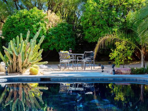 Alexander in the Sun - image 10