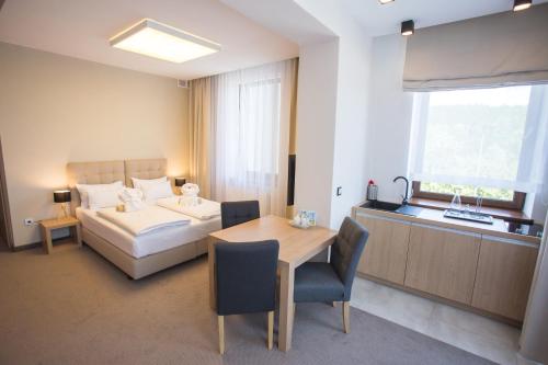 Czarny Kamień Resort & SPA, Szklarska Poręba (photo 8)