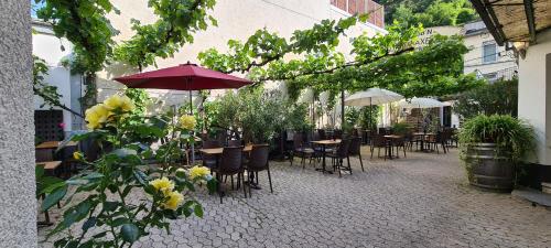 Weingut Haxel - image 4