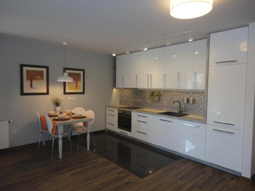 Apartament Nad Wisłą, Cracovie (photo 9)