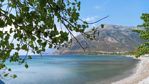 Nafpaktos cottages by the sea for travelers and dreamers!