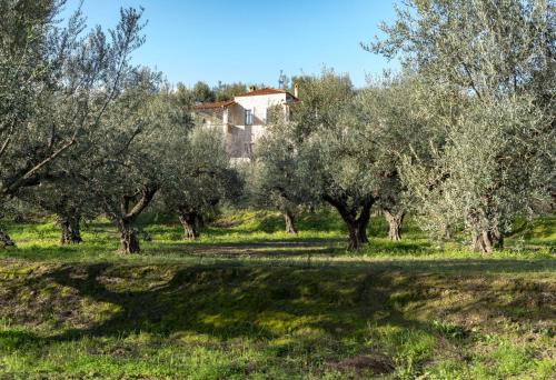 VILLA KLOTILDI
