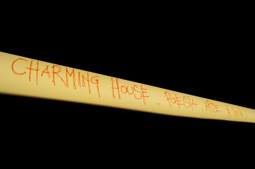 Charming House DD724 - image 5