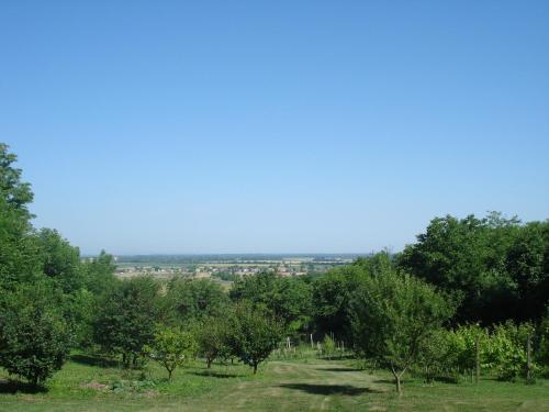 Mikin dol Baranja Country house