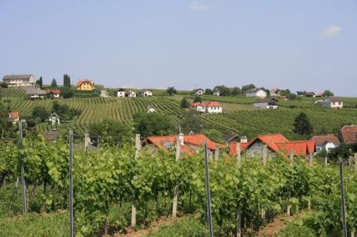 Ferienwohnung Weingut Rennhofer