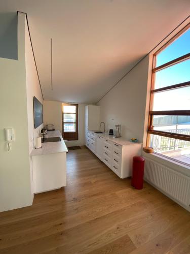 Penthouse Apartment image 5
