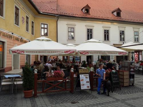 Casa Merisor - image 3