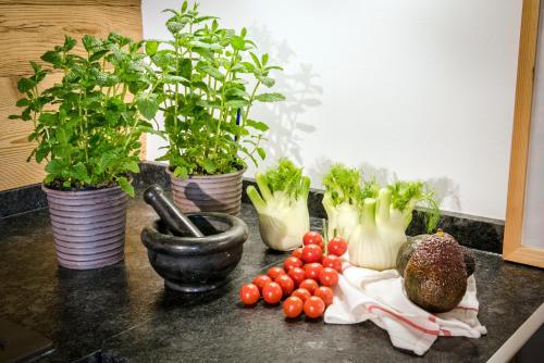 Ferienwohnungen Gut Fasanenhöhe (Ferienwohnungen Gut Fasanenhohe) in 希明格