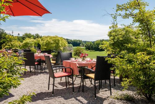 Ferienwohnungen Gut Fasanenhöhe (Ferienwohnungen Gut Fasanenhohe) in 希明格