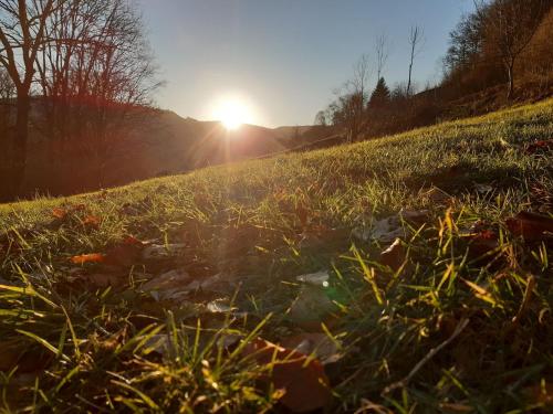 Peaceful Holiday Home near Forest in Saulxures-sur-Moselotte - image 7