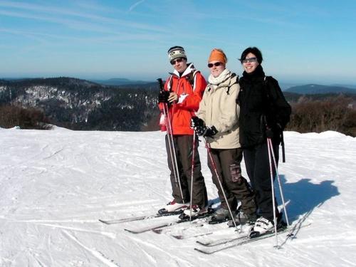 Peaceful Holiday Home near Forest in Saulxures-sur-Moselotte - image 5