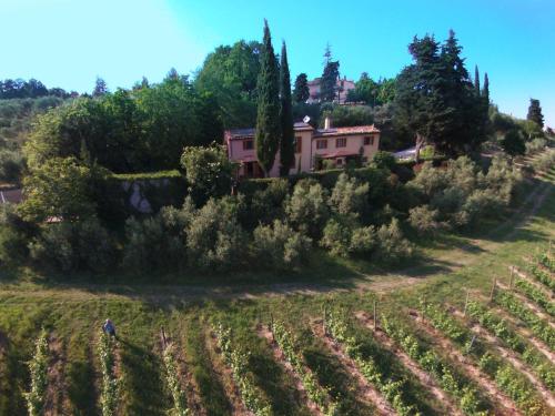  Lavish Farmhouse in Montecarotto with Swimming Pool, Pension in Montecarotto bei Molino Apolloni