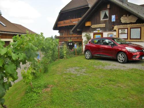 Beautiful apartment in the Black Forest with conservatory and tiled stove - image 10