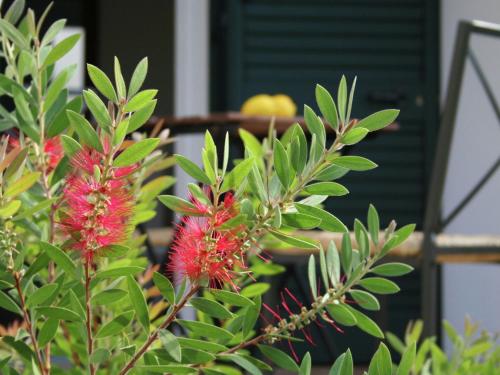 Plush Holiday Home in Salento Region with Coastal Views - image 7