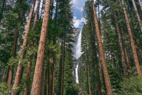 Holiday Inn Express & Suites Oakhurst-Yosemite Park Area, an IHG Hotel