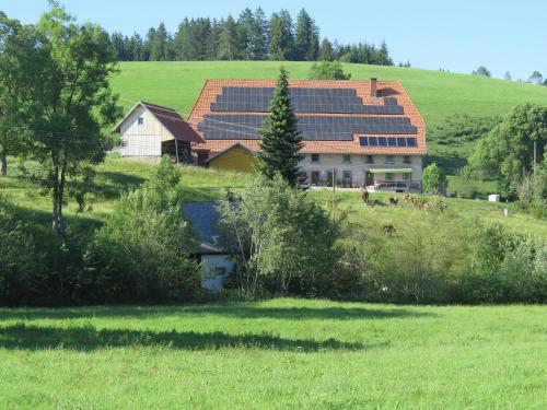 Holiday home with terrace in the Black Forest