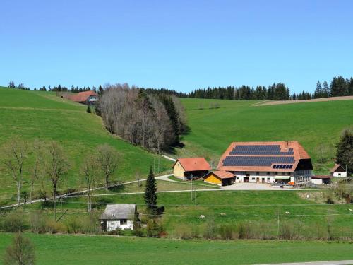 Holiday home with terrace in the Black Forest