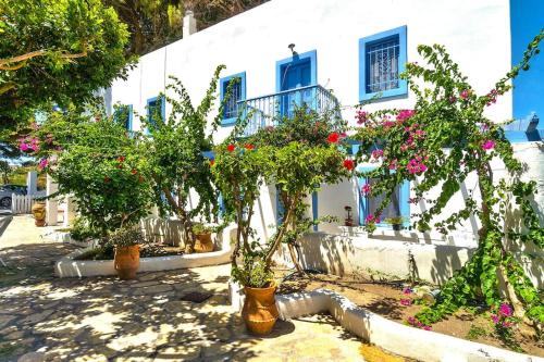 PLEIADES a Greek Farmhouse Paradise in Alinda Bay - Accommodation - Alinda
