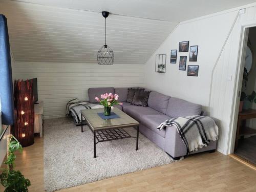 Large, cozy, family-friendly BUA Apartment - Vossestrand