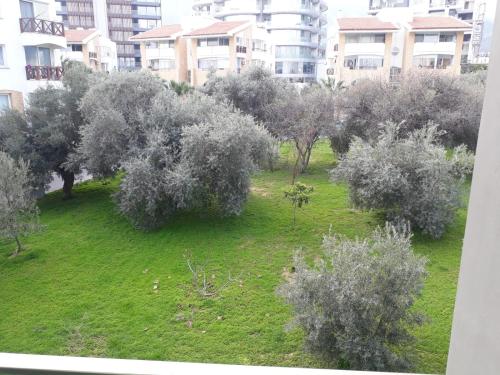 Ardem 5 Girne Luxury 1+1 - image 6