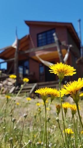 Tierras Bayas Mountain Refuge