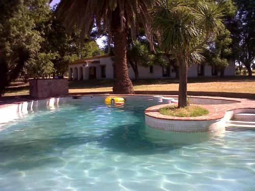 Swimming pool, Haras L'Etalon in Pergamino