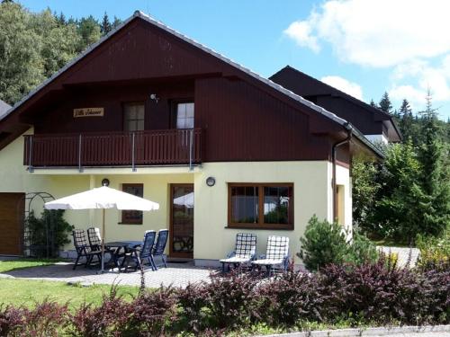 beautiful villa at the Lipno Lake with ski pistes