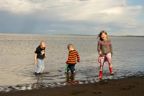 Arabær Holiday Home - image 12